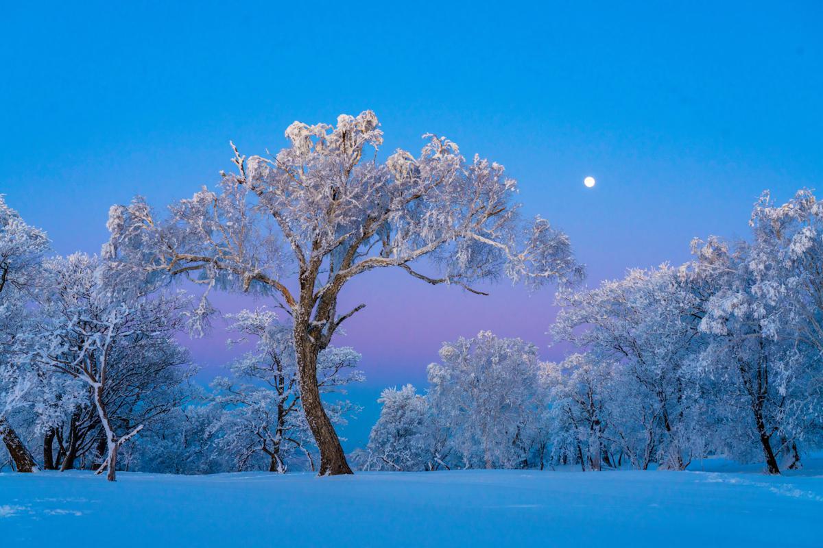 Tourists capture fresh winter snapshots in Jilin