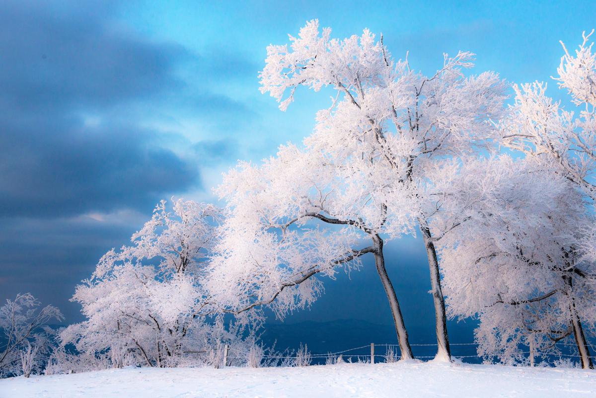 Tourists capture fresh winter snapshots in Jilin