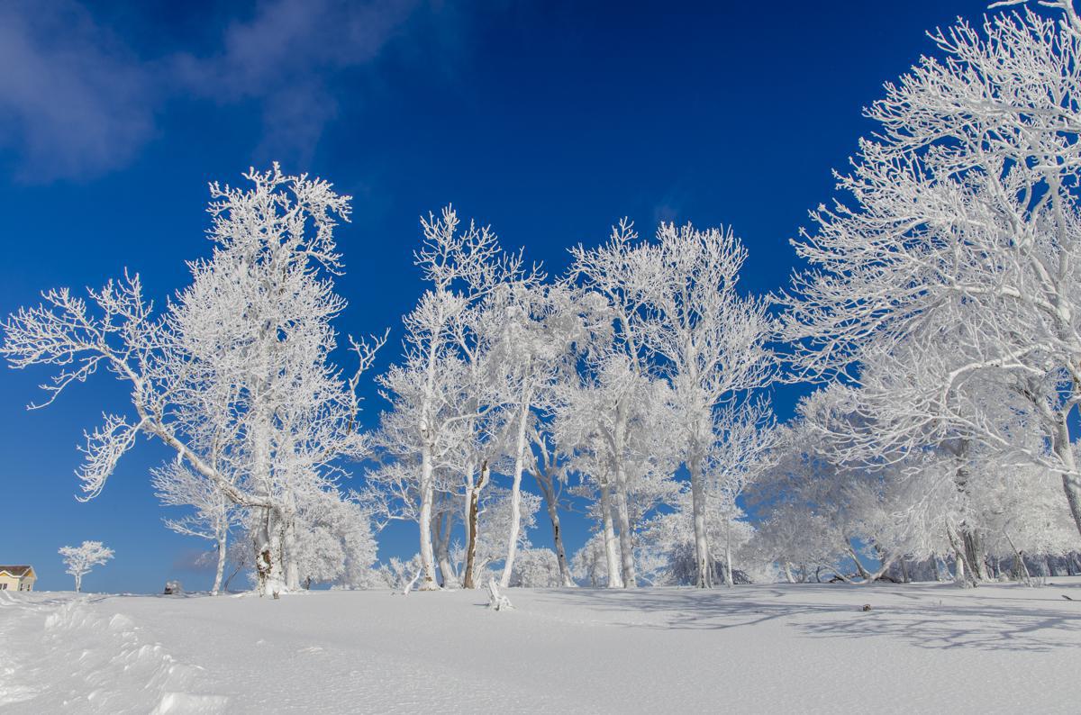 Tourists capture fresh winter snapshots in Jilin