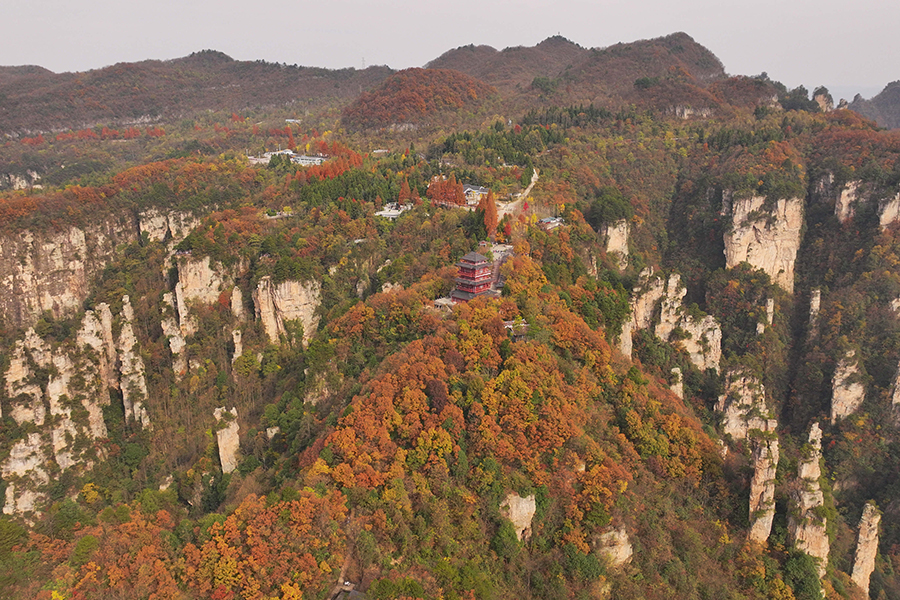 Tianmen Mountain puts on colorful clothes