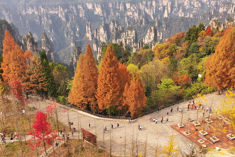 Tianmen Mountain puts on colorful clothes