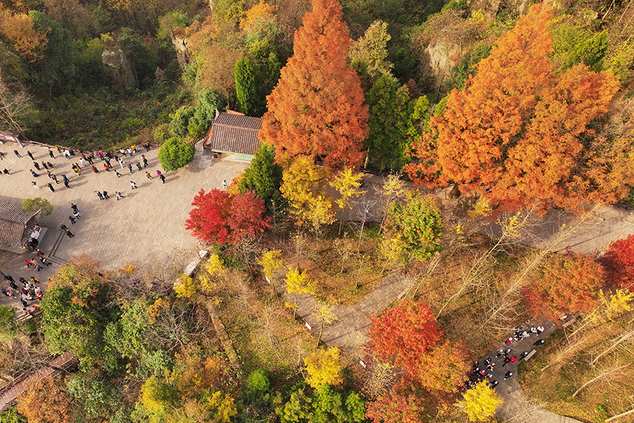 Tianmen Mountain puts on colorful clothes