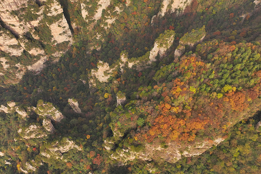 Tianmen Mountain puts on colorful clothes