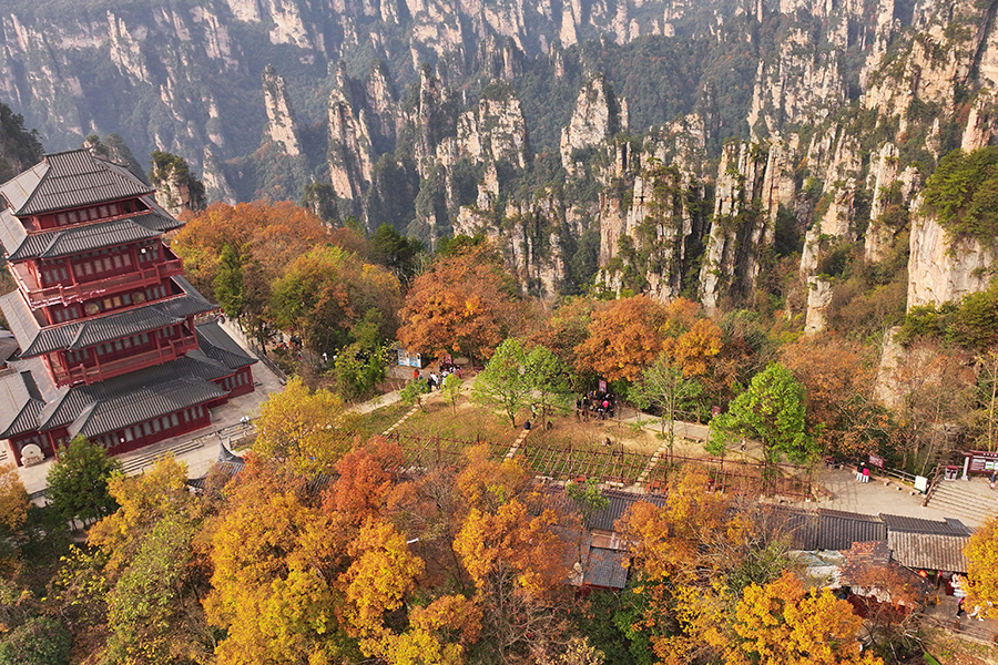 Tianmen Mountain puts on colorful clothes