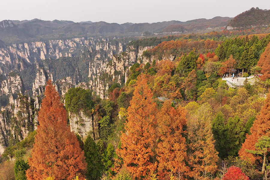 Tianmen Mountain puts on colorful clothes