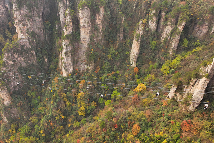 Tianmen Mountain puts on colorful clothes