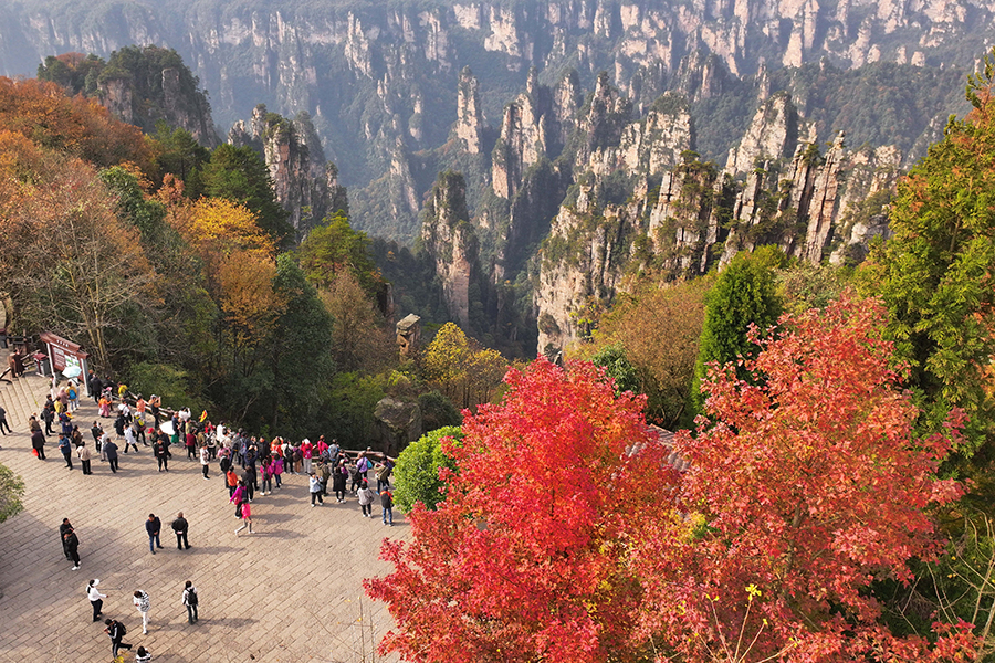 Tianmen Mountain puts on colorful clothes