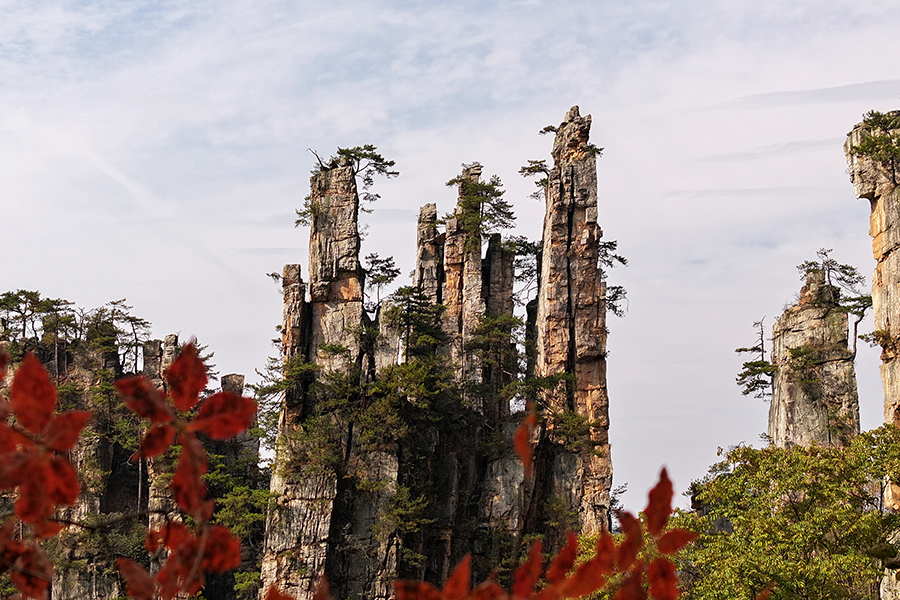 Tianmen Mountain puts on colorful clothes