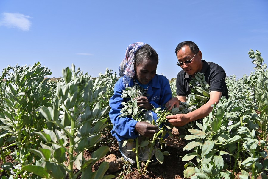 Interview: China's agriculture modernization plan for Africa to advance growth, says Kenyan scholar