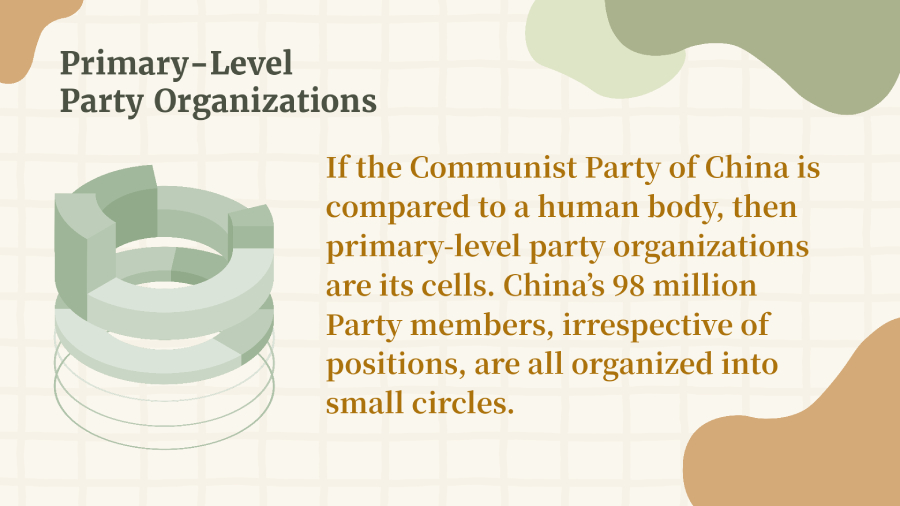 Visual explainer: Primary-Level Party Organizations