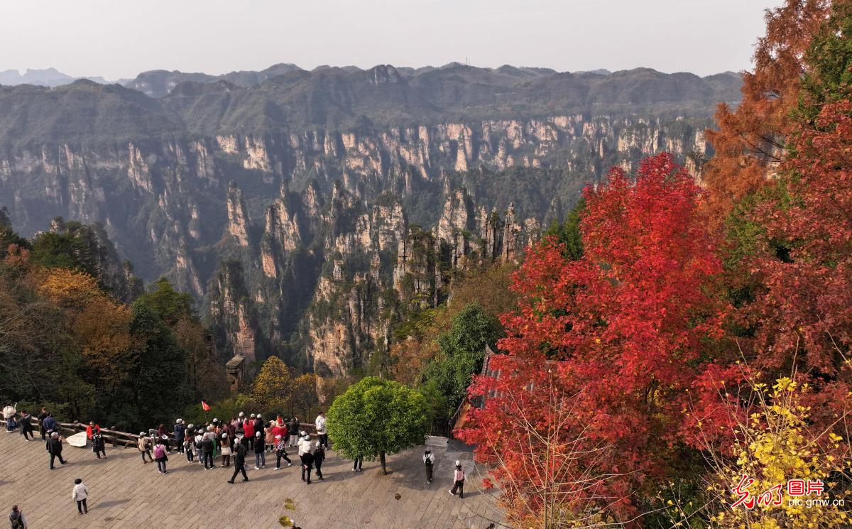 Zhangjiajie of C China’s Hunan: colorful peaks and forests