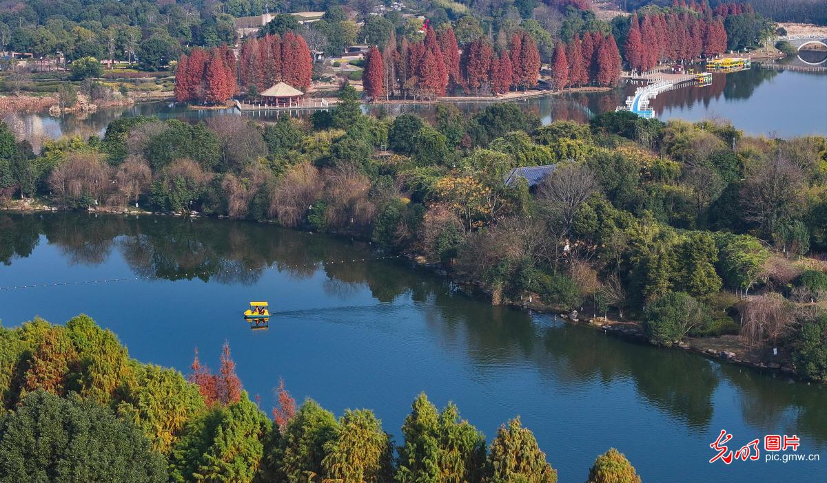 Enchanting scenery of ecological park in E China's Jiangxi Province