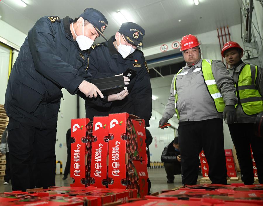 Economy&Life | China's Tianjin Port launches direct route for Chilean cherry imports