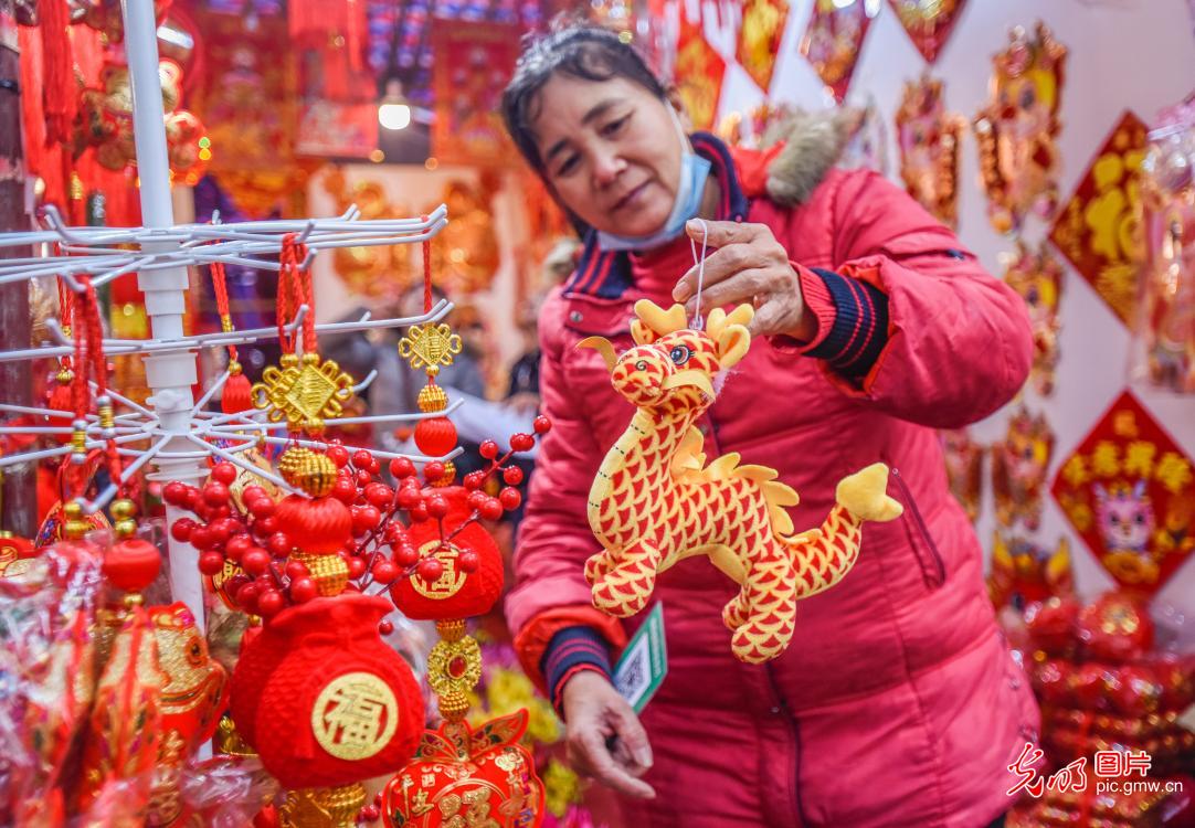 New Year decorations popular among citizens in SW China's Guangxi