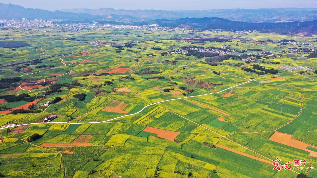 Picturesque scenery of cone karst in SW China's Yunnan