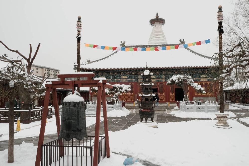 In pics: Citizens visit snow-covered Baita Temple in Beijing