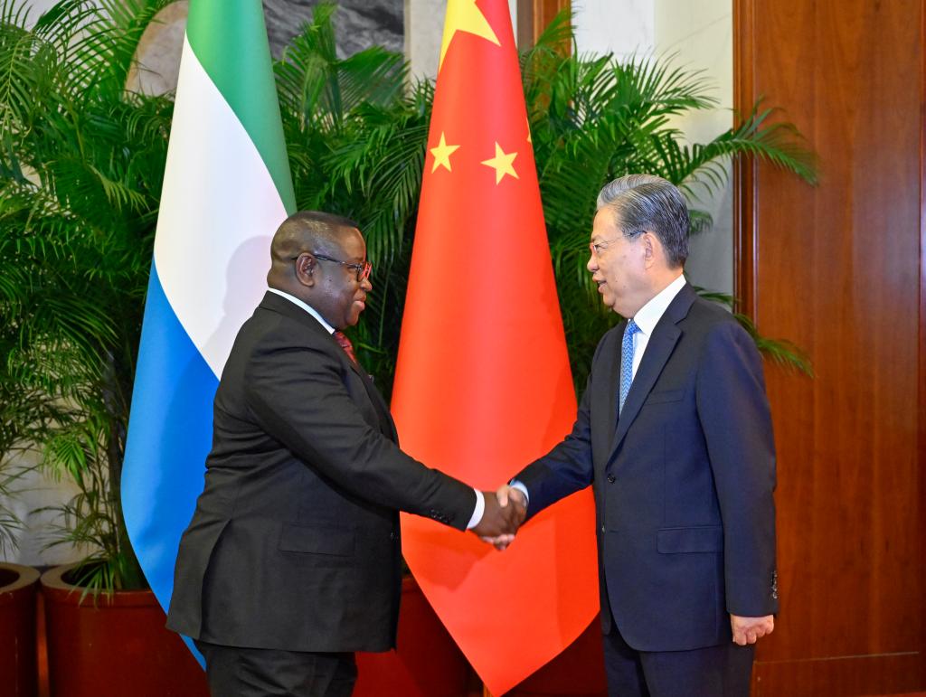 China's top legislator meets Sierra Leonean president