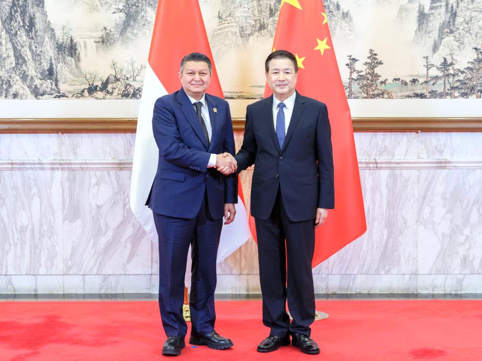 China, Indonesia pledge to enhance counter-terrorism cooperation