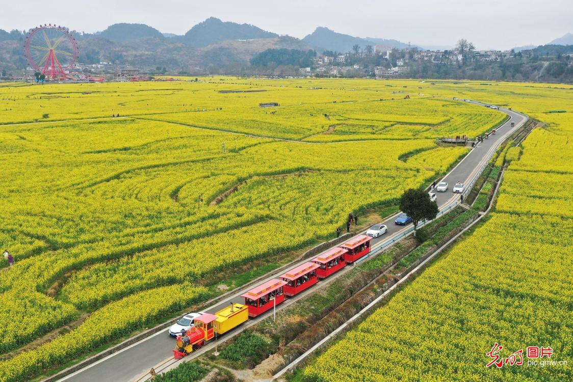 Guiding County of SW China’s Guizhou: agritourism integration facilitates rural revitalization