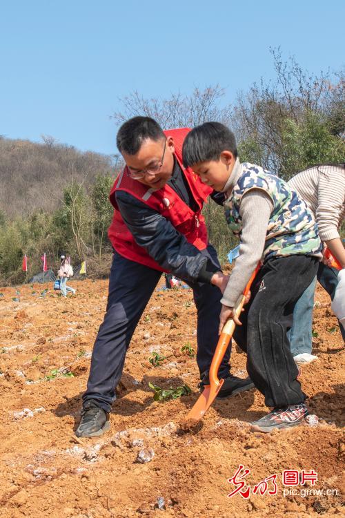 Tree planting campaign launched in E China's Anhui