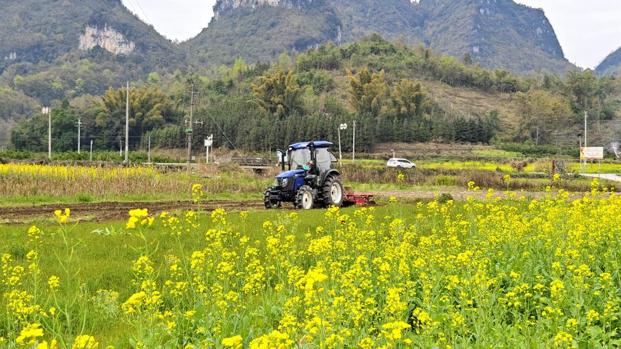 Spring farming is underway in south China's Guangxi
