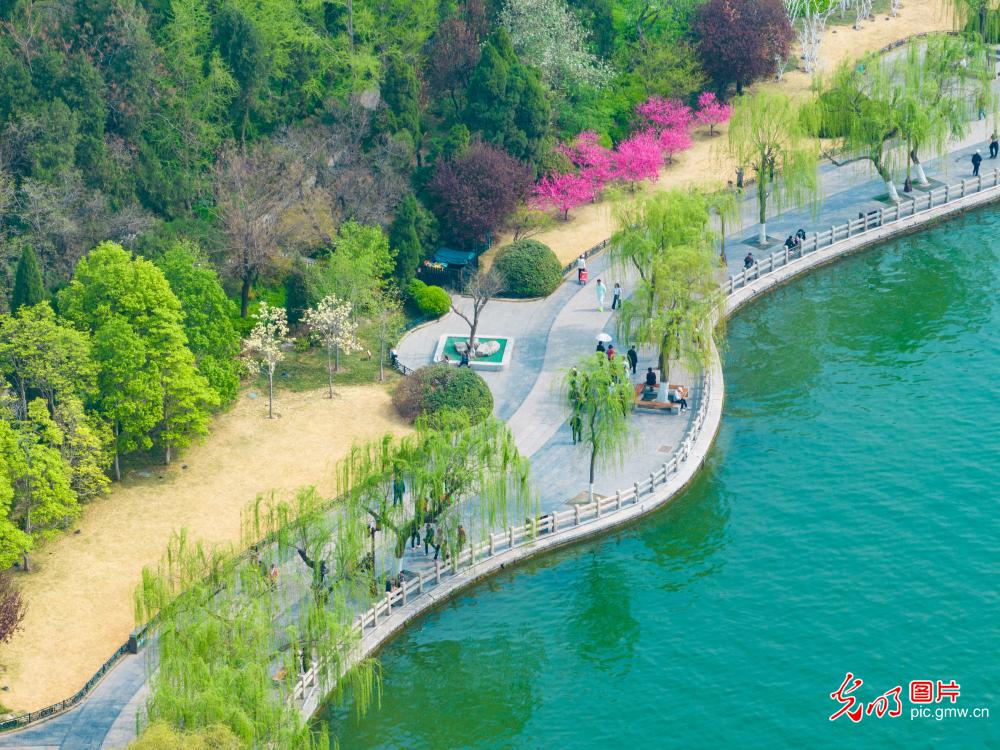 Picturesque scene of Daming Lake in E China's Shandong