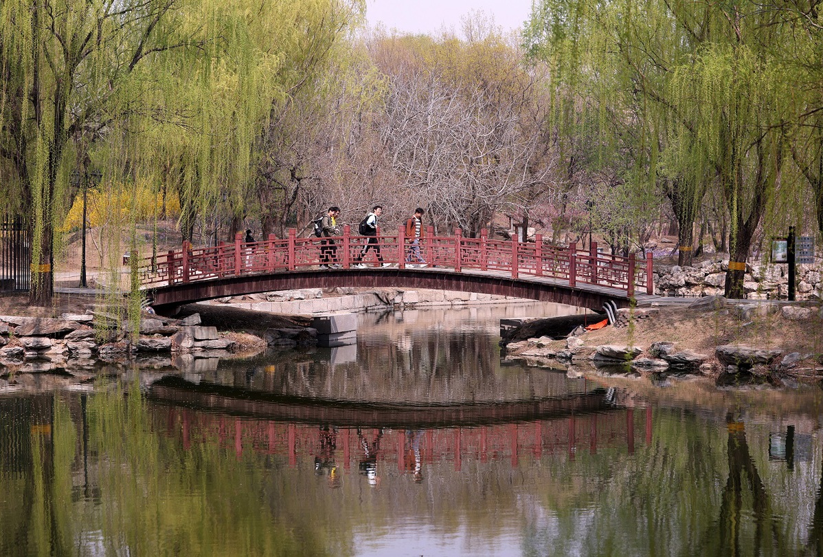 Beijing celebrates arrival of spring with Spring Outing Festival