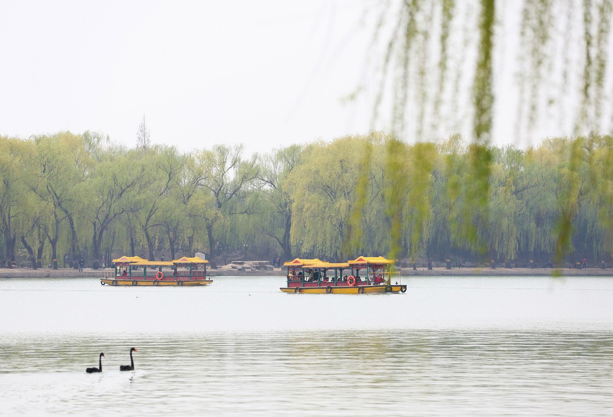 Beijing celebrates arrival of spring with Spring Outing Festival