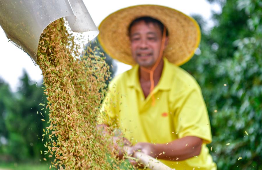 China launches campaign to boost grain output