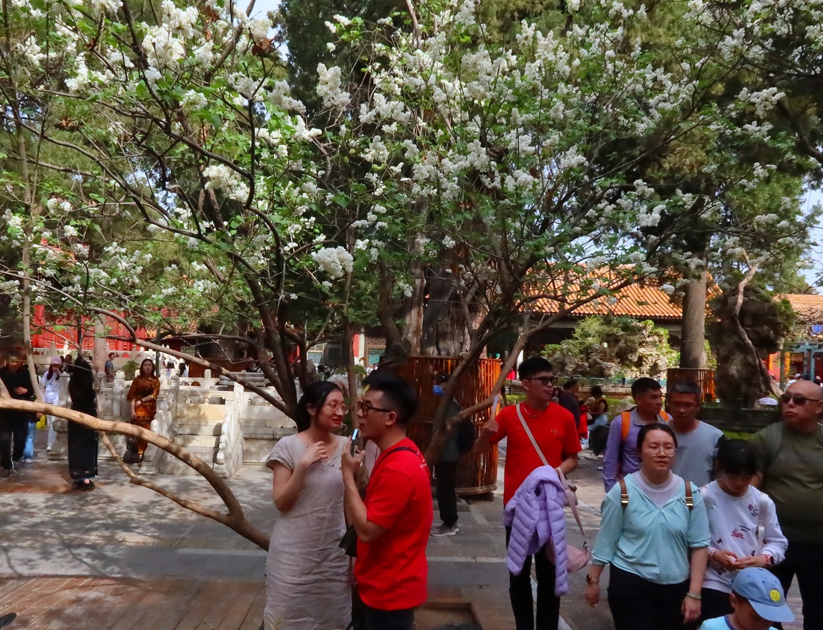 Blooming flowers seen at Palace Museum in Beijing