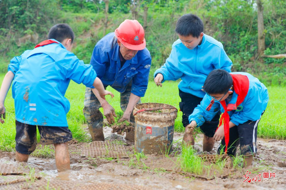 Students engage in practical farming activities in E China's Jiangxi