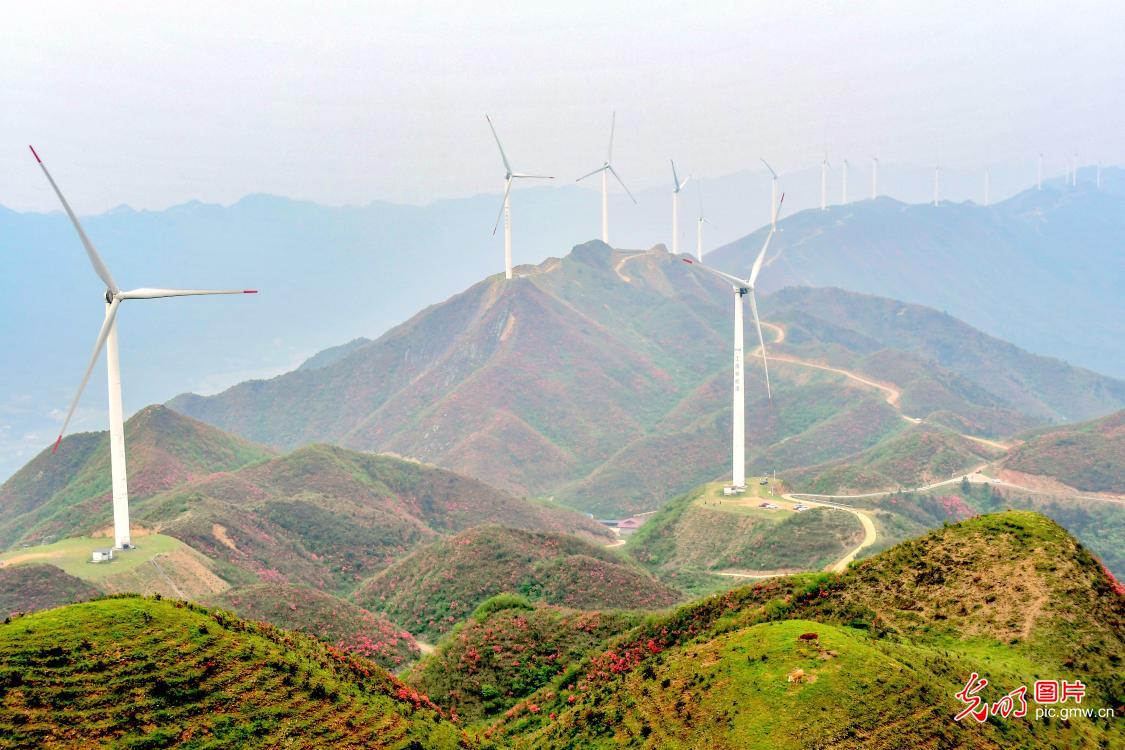 Wind farm ecological beauty in E China's Jiangxi