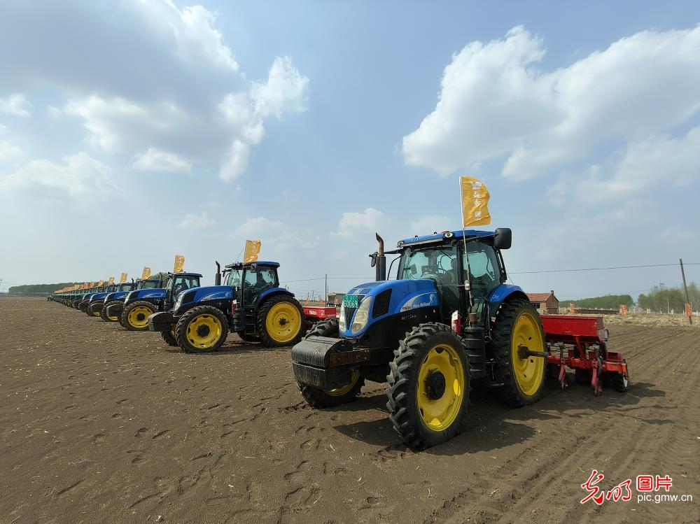 Seeding commence in NE China's Shenyang