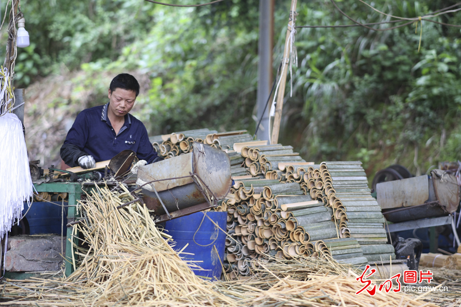 Bamboo products gain popularity with growing environmental awareness in China