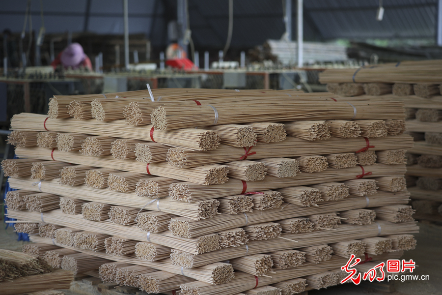 Bamboo products gain popularity with growing environmental awareness in China