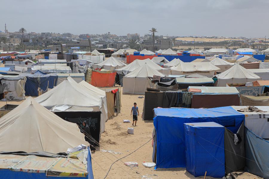 Displaced Gazans burn solid waste for cooking as fuel, shrubs run out