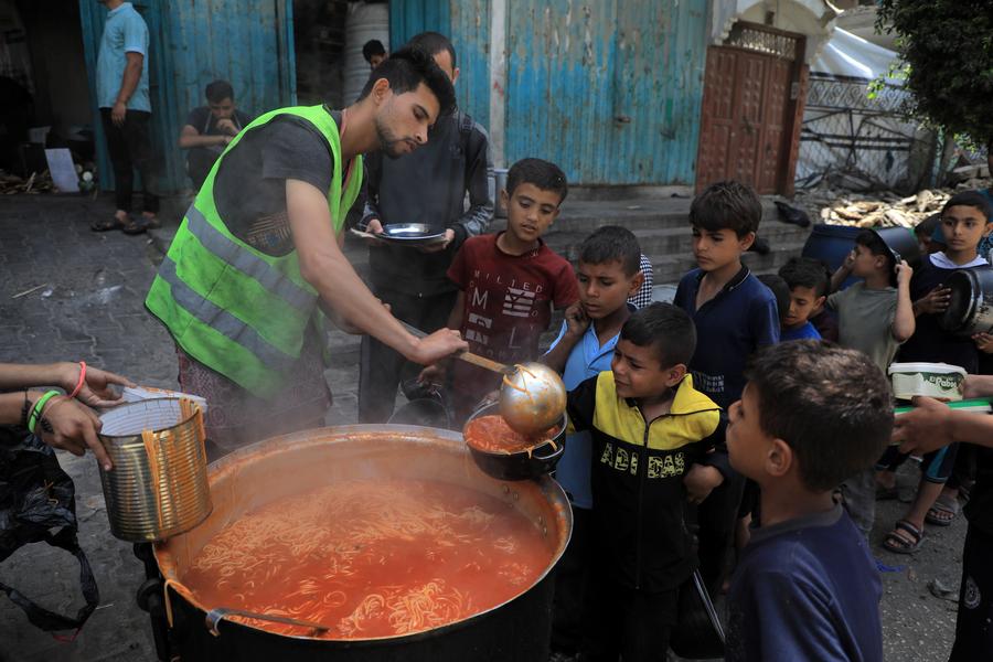 Displaced Gazans burn solid waste for cooking as fuel, shrubs run out