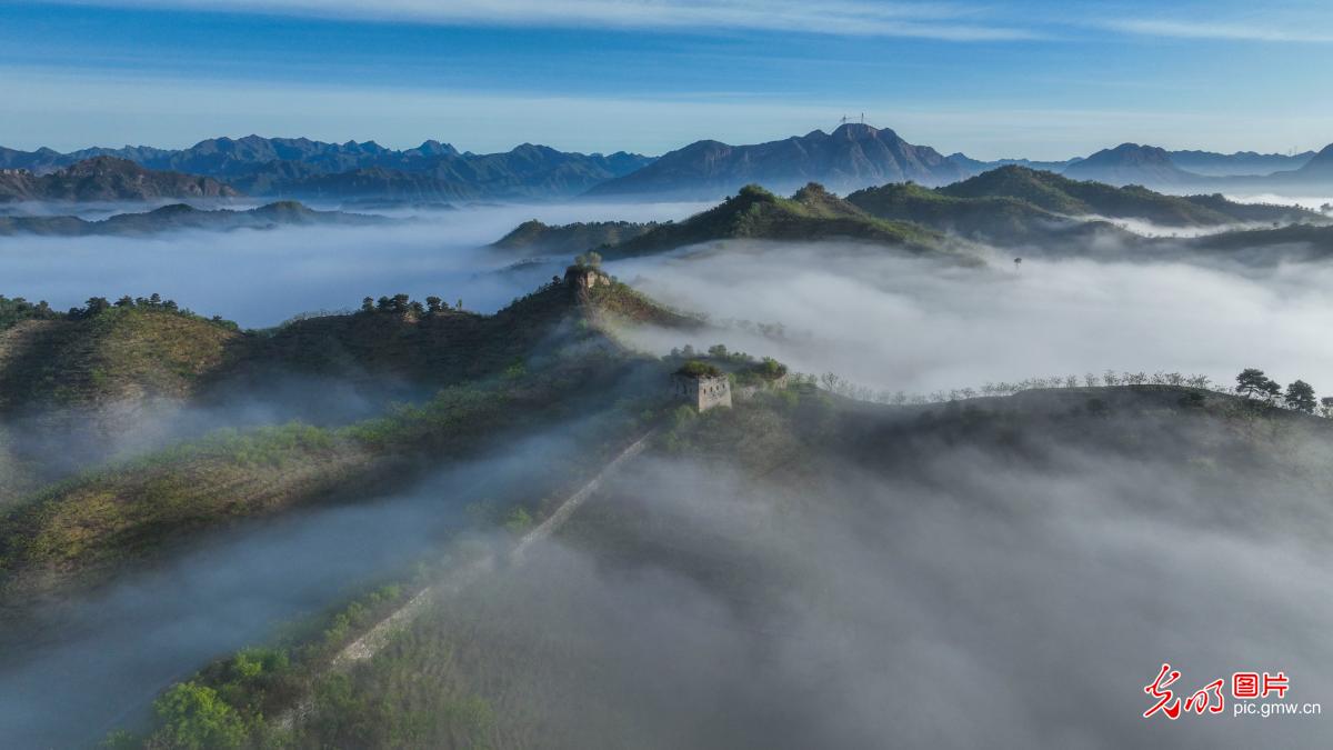 Picturesque scenery of Great Wall after rain