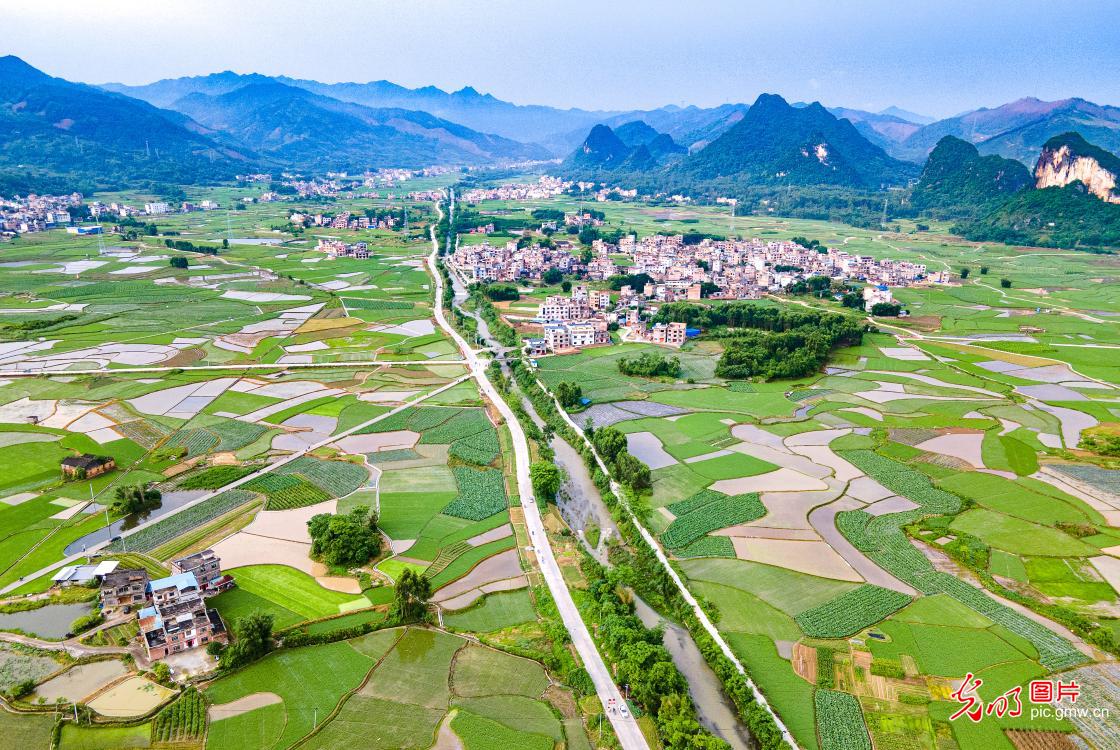 Hezhou City in S China’s Guangxi: beautiful countryside picture in early summer