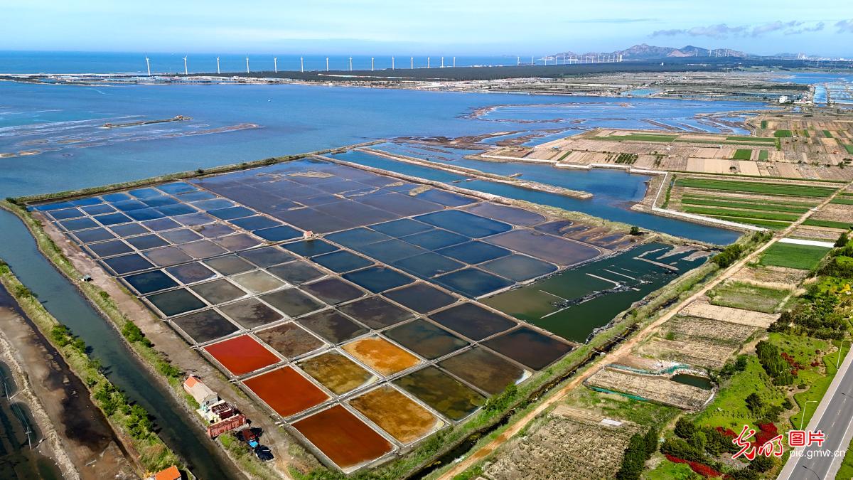 Shandong Rongcheng: Colorful salt fields in early summer