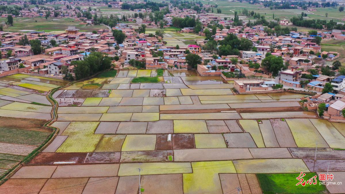 Color-palette-like rural scene in NW China