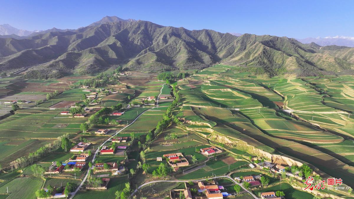 Pastoral picture in NW China's Gansu