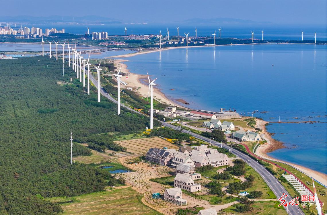 Wind power facilitates high quality development in E China's Shandong