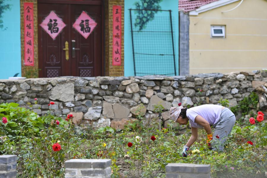 Culture&Life | Village in Beijing develops tourism relying on Great Wall resources