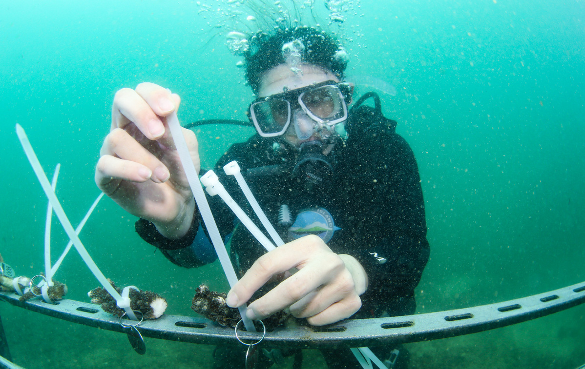 World Oceans Day marked across China