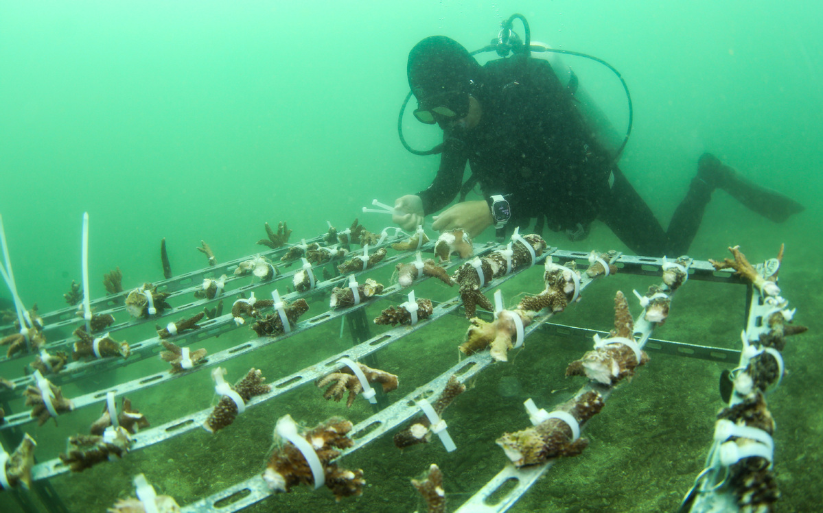 World Oceans Day marked across China