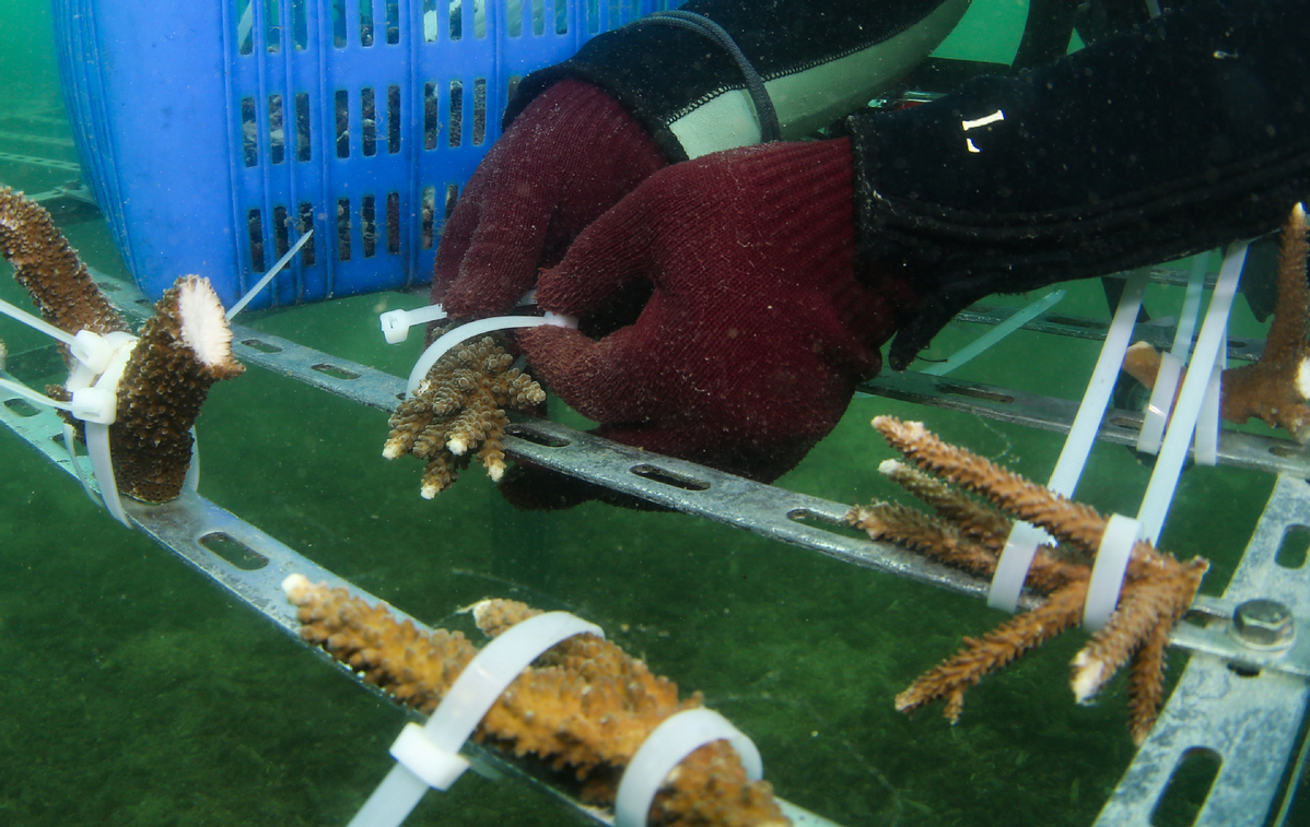 World Oceans Day marked across China