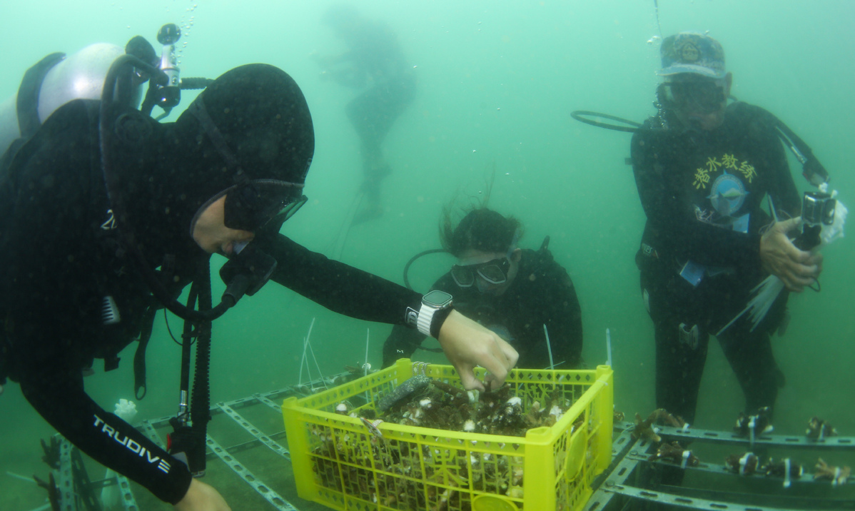 World Oceans Day marked across China