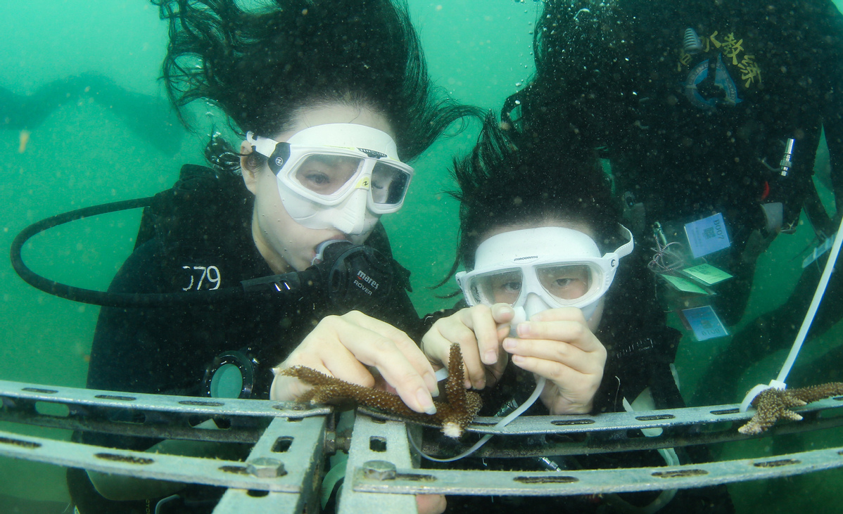 World Oceans Day marked across China