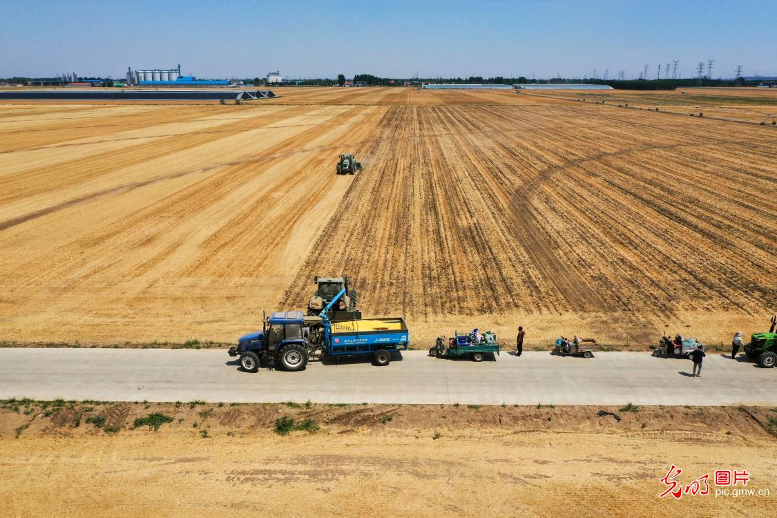 Intensified efforts to combat drought, protect seedlings during summer